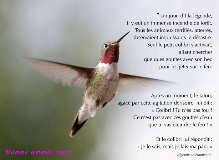 Lgende du Colibri