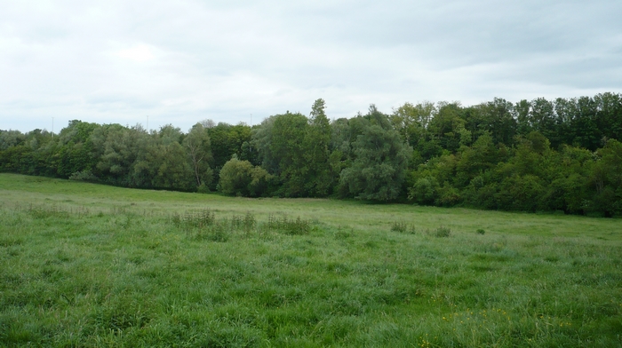 Vue du terrain  remblay  Cerexhe-Heuseux