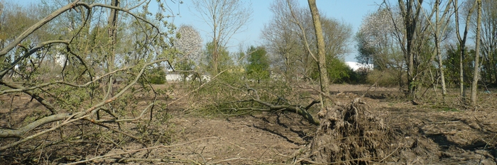 Bosquet rue Militaire aprs travaux (2)