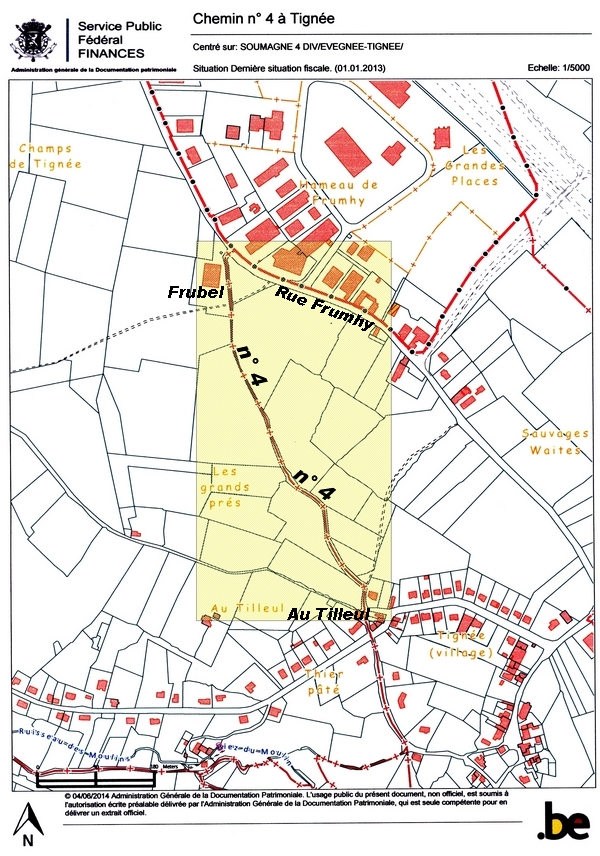 Cadastre - Chemin n 4  Tigne
