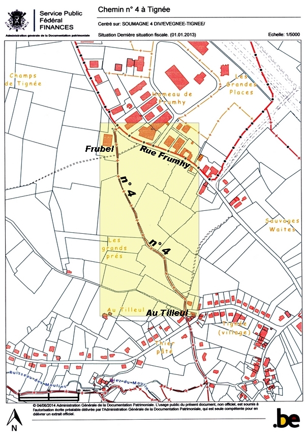 Cadastre - Chemin n 4  Tigne